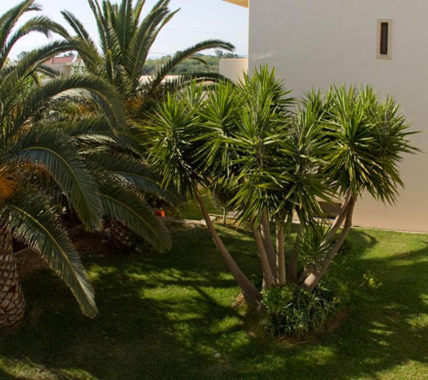 מאלמה Olga Suites מראה חיצוני תמונה